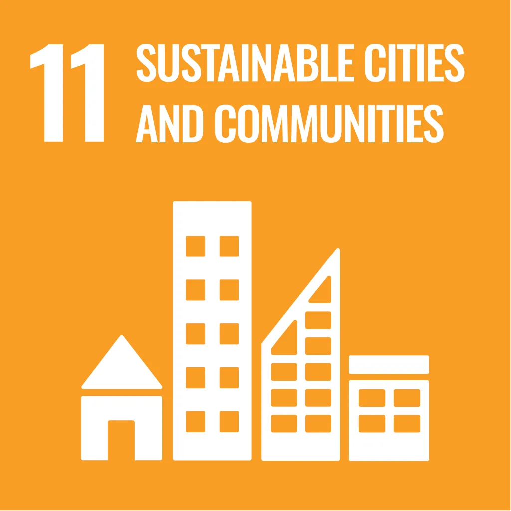 Vision - SDG11