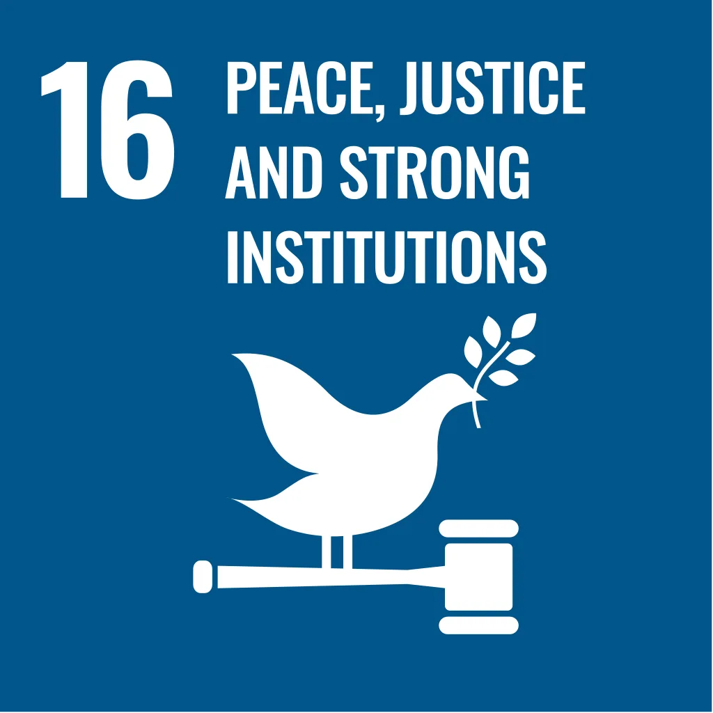Vision - SDG16