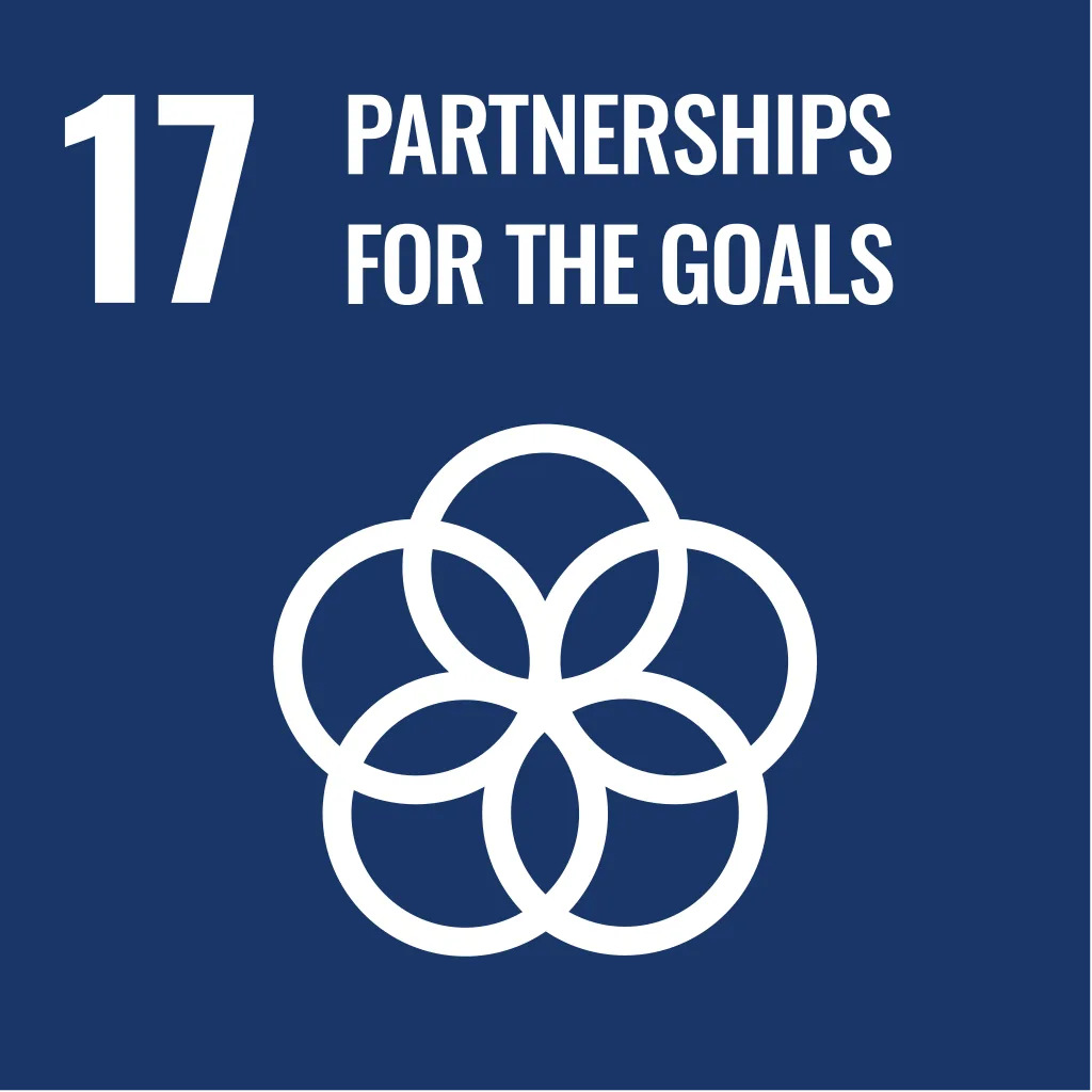 Vision - SDG17
